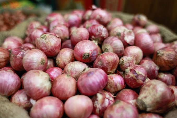 Onion Imports from egypt-News4 Tamil Latest Online Business News in Tamil