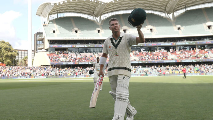 david warner 300