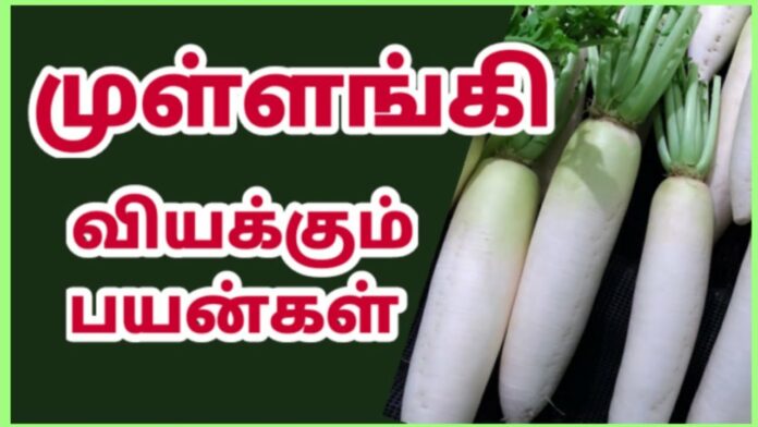 Radish Benefits in Tamil