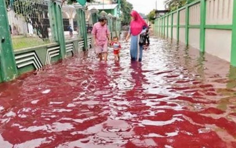 flood of blood floating indonesia