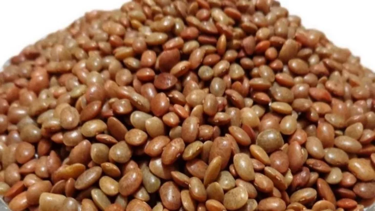 கொள்ளுடன் இதை சேர்த்து சாப்பிட்டு வாருங்கள்! உடலில் உள்ள ஒட்டுமொத்த கொழுப்பும் கரைந்துவிடும்!