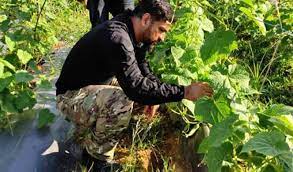 Dhoni's huge agricultural garden !! Dhoni interested in business !!
