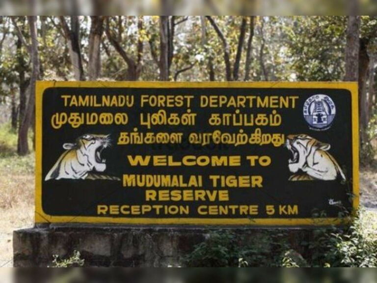 Mudumalai Archive to open tomorrow! These people should avoid coming!