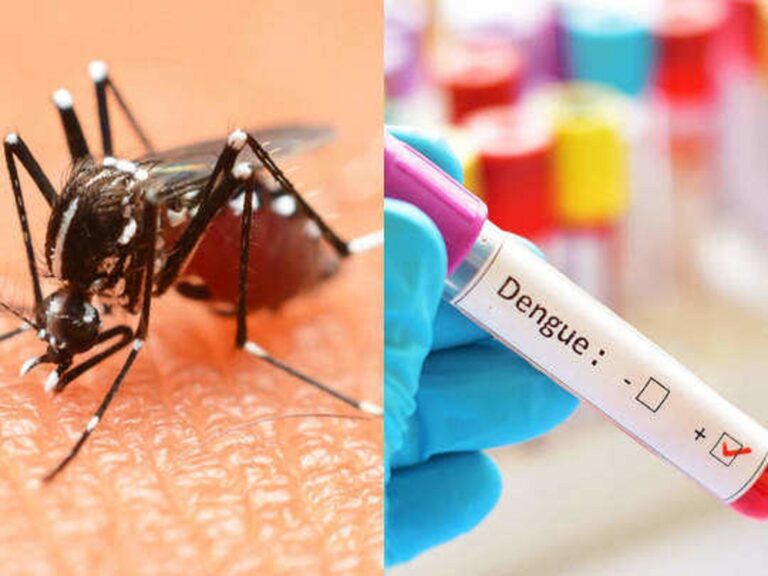 Shocking information released by the Minister of Health! Dengue impact reaches 400!