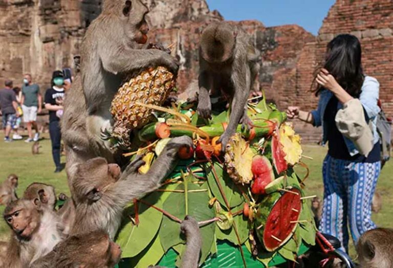 A festival celebrated for monkeys! Tourists happy!