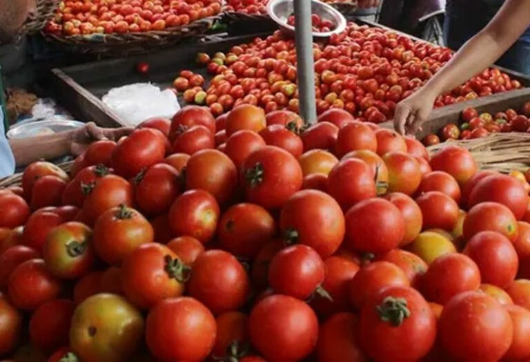Chennai residents shocked by the price of tomatoes! So much for that?