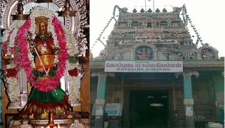 காரைக்குடி கொப்புடை நாயகி அம்மன் திருக்கோவில்!