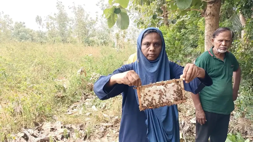 20 lakh income per year! Couple mixing bees!