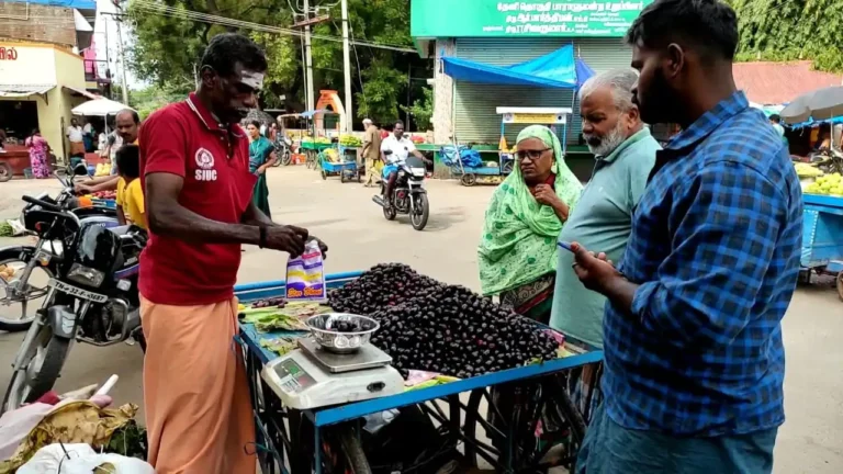 Andhra novel fruit mouse growing in Kambham areas! Sales Badujor!