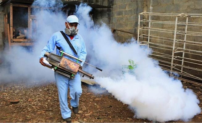 Dengue, malaria spread.. New action taken by the corporation to destroy the production of mosquitoes!..