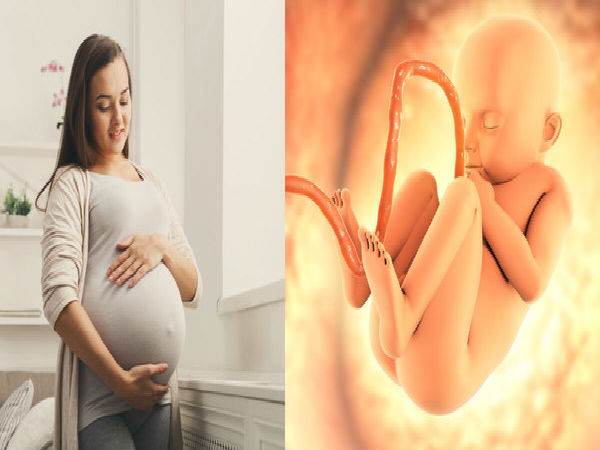 Defects in the fetus can be detected in two months! Tamil Nadu government's new action!