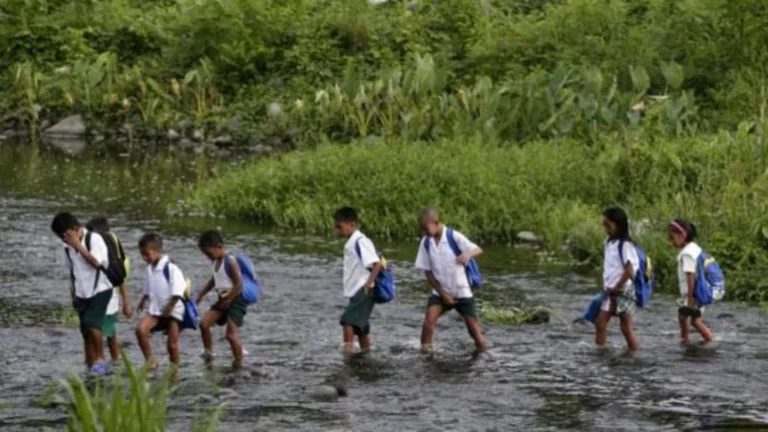 School students cross the dangerous water where there are poisonous animals! Indifference government officials!