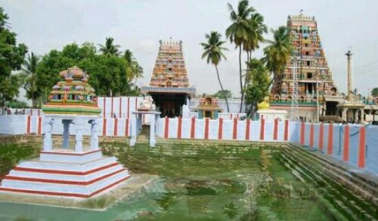 The incident that took place in the Avinasilingeswarar temple in Coimbatore district! Attack on the blind woman!