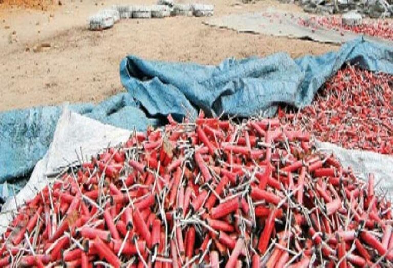 In the notices released by the central government, an 11-member committee has been appointed to inspect the firecracker factories.