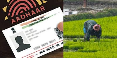 Shock news for farmers! Aadhaar Registration Only Scholarship!