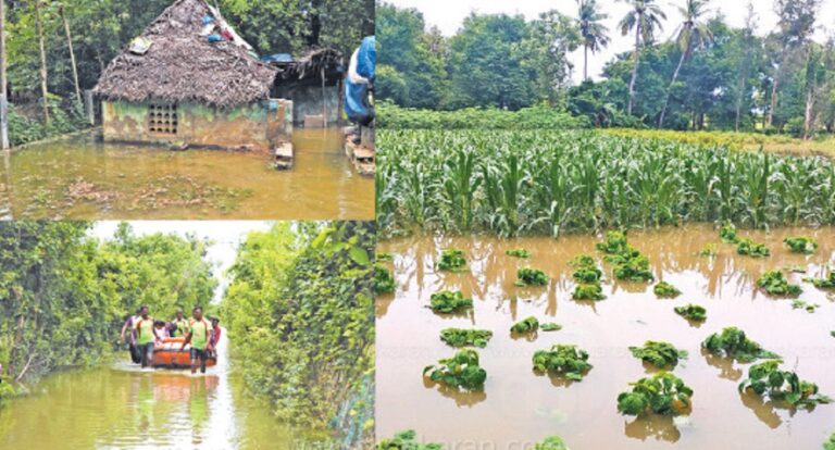 200 acres of agricultural land has been affected due to flood in Kollidam river