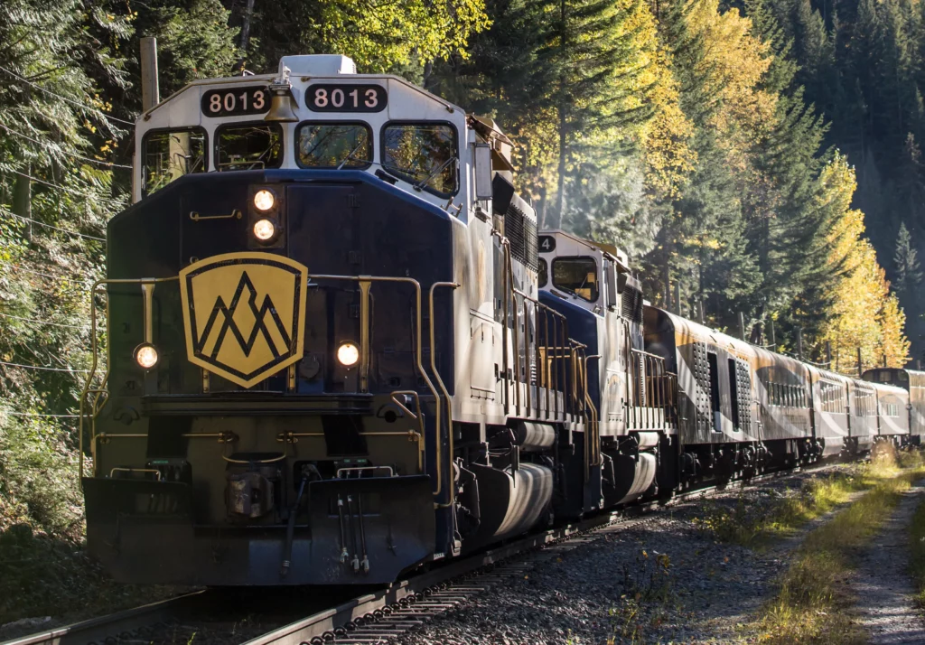 So many trains canceled in a single day..Passengers suffer a lot!..What could be the reason?..