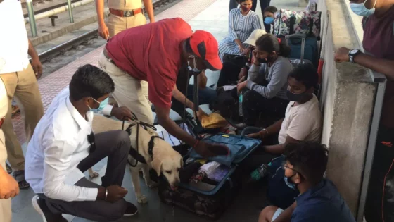 பண்டிகையை முன்னிட்டு போலீசாரின் புதிய பிளேன்! சரியாக செய்யாதவர்களின் மீது நடவடிக்கை!