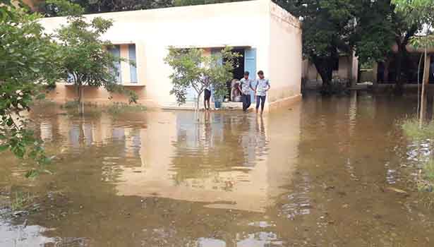 The pond in the school campus! Students suffer!