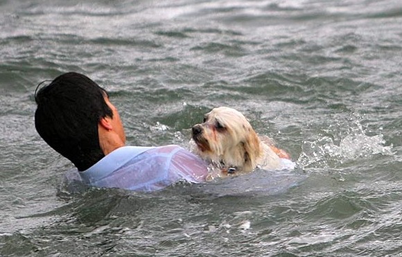 The young man who saved the dog who was drowning in the water! The pity of the helper?
