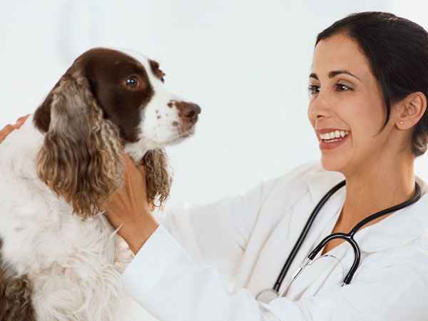 Rank List Released for Veterinary Courses! Announcement issued by the university!
