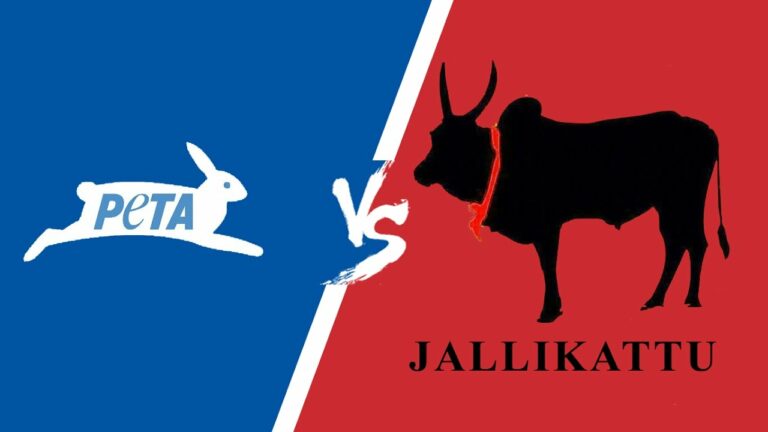 Beta filed a petition in the Supreme Court to cancel jallikattu competitions again!