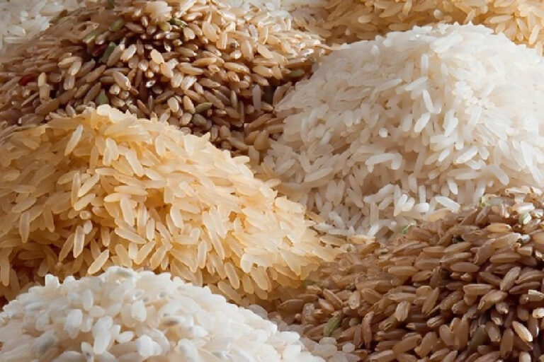 The announcement made by the central government! Removal of the ban on rice exports!