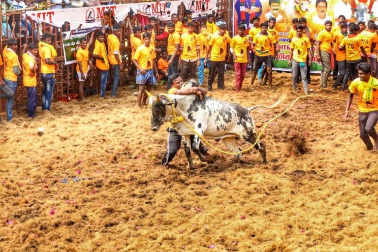 Jallikattu competition on 17th January! What was the decision taken in the consultation meeting?