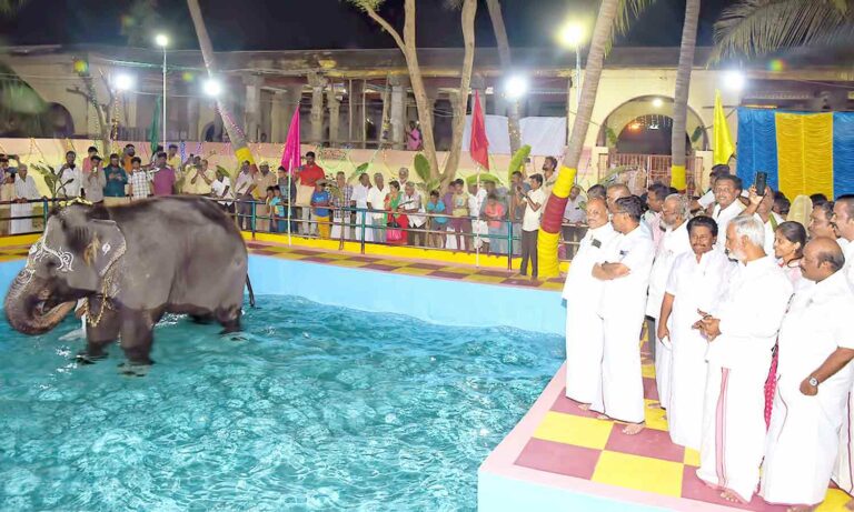 Mangalam, the elephant who turned into a baby when he saw water!! Minister Shekharbabu stood in amazement and admired!