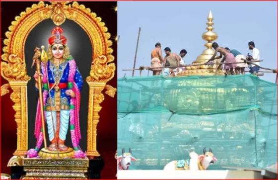 பழனி முருகன் கோவில் குடமுழுக்கு! நேற்று முதல் முன்பதிவு தொடக்கம்! 