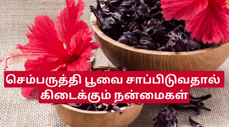 தினம் ஒரு செம்பருத்தி பூ! உங்களுக்கு ஹார்ட் அட்டாக் வராது!