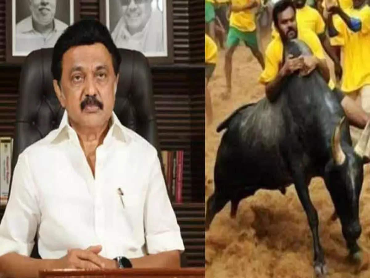 Jallikattu competition on the occasion of Chief Minister Stalin's birthday! Do you know where?