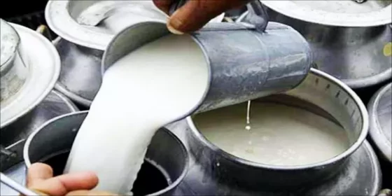 இந்த மாவட்டத்தில் பால் விலை அதிரடி உயர்வு! பொதுமக்களுக்கு வெளிவந்த ஷாக் நியூஸ்!