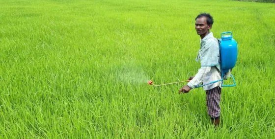 விவசாயிகளுக்கு வெளிவந்த முக்கிய தகவல்! இந்த தேதிக்குள் காப்பீட்டுத் செய்ய விண்ணப்பிக்க வேண்டும்!