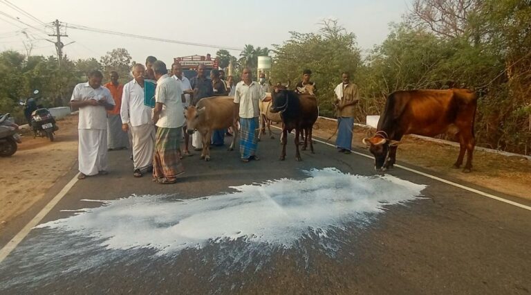 Milk producers engaged in continuous struggle! The environment that affects the company!