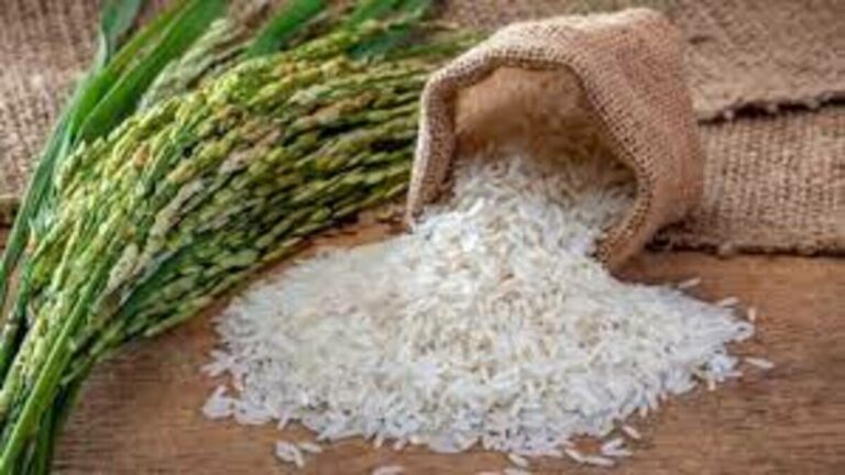 Rice price rise to compensate for gold? Shock news released by the Department of Agriculture!