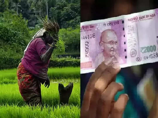Jackpot hit for these farmers! The information released in the subsidized agricultural budget!