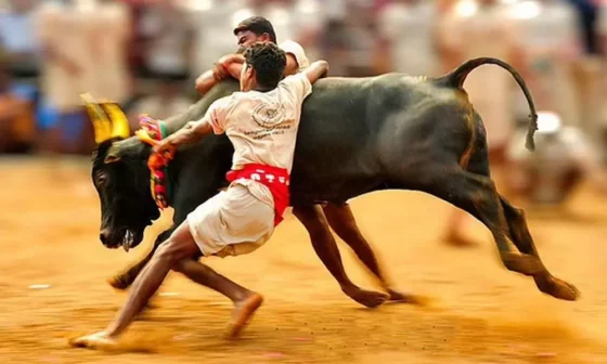 இரு தரப்பினர் மோதல் காரணமாக நிறுத்தப்பட்ட ஜல்லிக்கட்டு போட்டி மீண்டும் தொடக்கம்!!பங்குனி திருவிழாவை முன்னிட்டு கோலகல கொண்டாட்டம்!!
