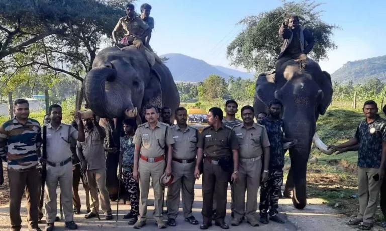 கும்கி யானை அருகே வந்த அரிக்கொம்பன்!! மோதல் ஏற்படாமல் இருக்க பட்டாசு வெடித்து விரட்டிய வனத்துறை!!