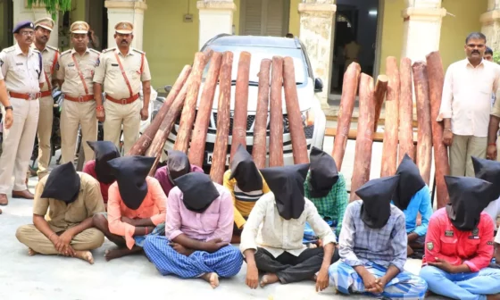 திருப்பதியில் செம்மர கடத்தல்! தமிழகத்தை சேர்ந்த 10 பேர் கைது! 