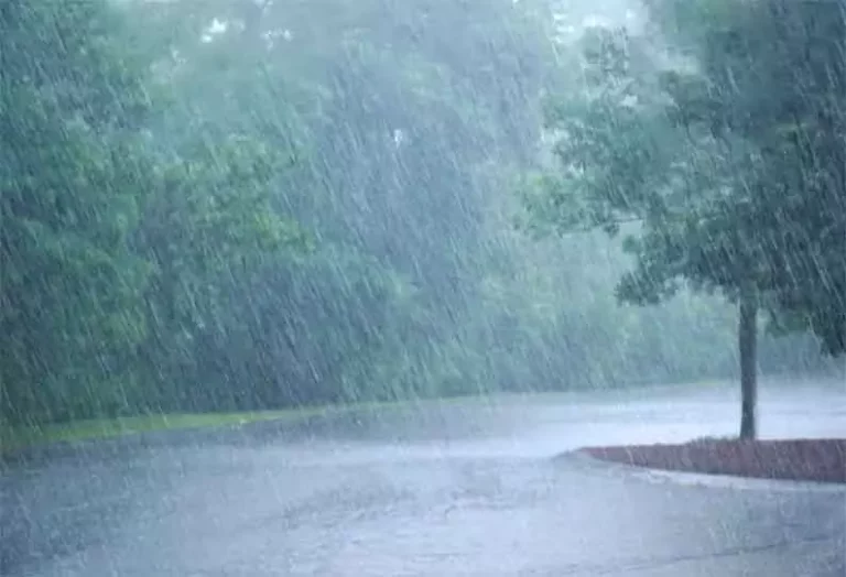 Heavy rain in 9 districts!! Chennai Meteorological Center Announcement!!