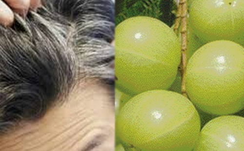 Gooseberry leaves alone are enough!! You will never get gray hair!!