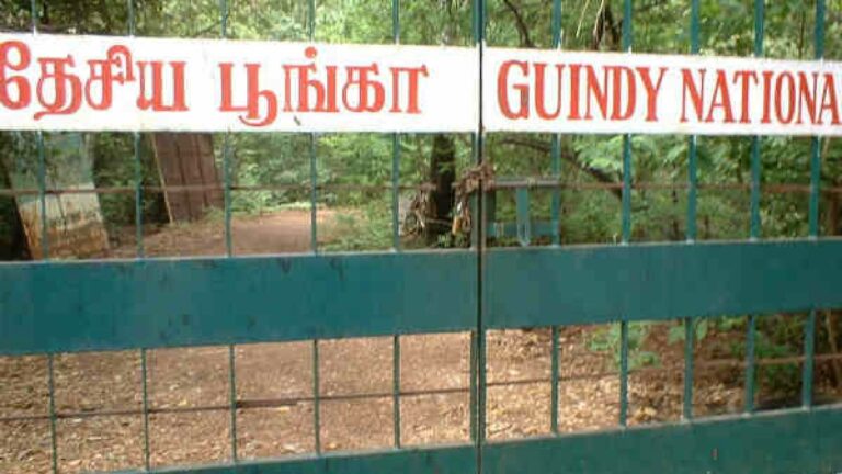 Chennai Guindy Childrens Park Closure Order of Tamil Govt