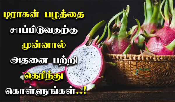 டிராகன் பழத்தை உண்பதற்கு முன் இதனை தெரிந்து கொள்ளுங்கள்!! அருமையான பதிவு!!