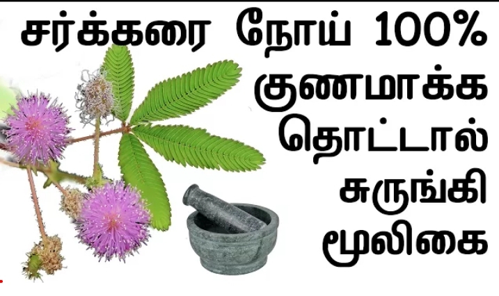 சர்க்கரை நோயாளிகளுக்கு ஒரு ஸ்வீட் செய்தி!! இனி இன்சுலின் ஊசியே தேவையில்லை!!