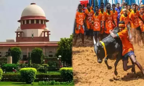 ஜல்லிக்கட்டுக்கு தடை விதிக்க முடியாது என மறுத்த சுப்ரீம் கோர்ட்டு!! தீர்ப்பை எதிர்த்து மீண்டும் மனு கொடுத்த அமைப்பு!! 