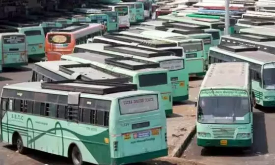 கிரிவலத்தை முன்னிட்டு சிறப்பு பேருந்துகள்!! பக்தர்களுக்கு  அரசு போக்குவரத்து கழகம் வெளியிட்ட ஹேப்பி நியூஸ்!!