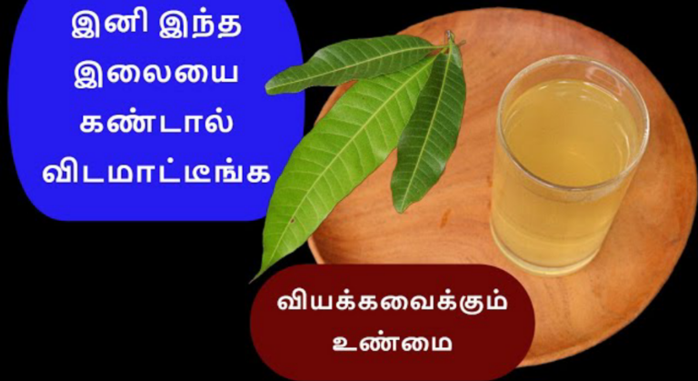 இனி இந்த இலையை பார்த்தால் விடவே மாட்டீர்கள்!! அத்தனை மருத்துவ பயன்களை கொண்டது!!