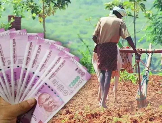 14 வது தவணை வரவில்லை விவசாயிகள் வேதனை!! மத்திய அரசு வெளியிட்ட தகவல்