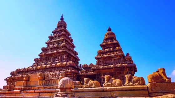 கோவில் நிலங்களை சட்ட விரோதமாக விற்கும் வழக்கு!! உயர் நீதிமன்றம் உத்தரவு!!